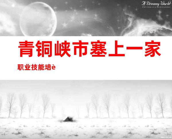 青铜峡市塞上一家职业技能培训（学校）有限公司